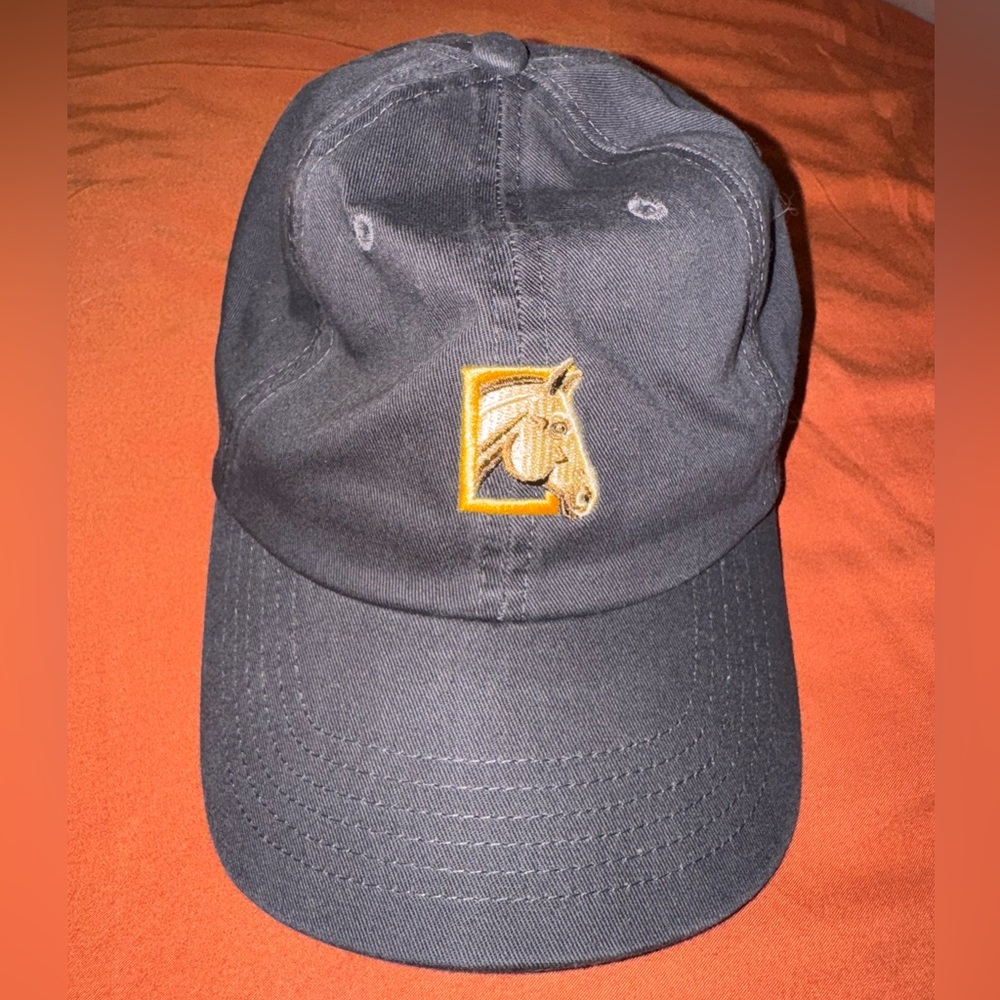 Horse hat